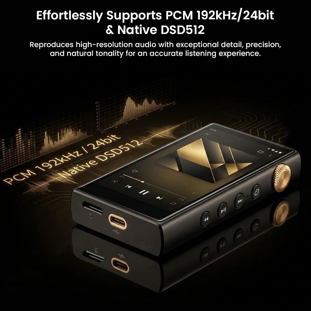Powerful digital audio player with dual mono amplification and gold circuit board