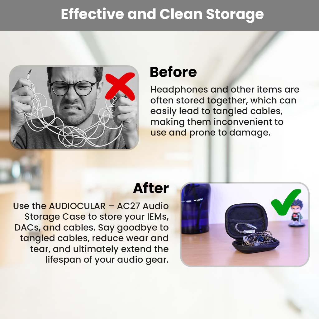 AC27 Leather Zip Earphone Case for IEM