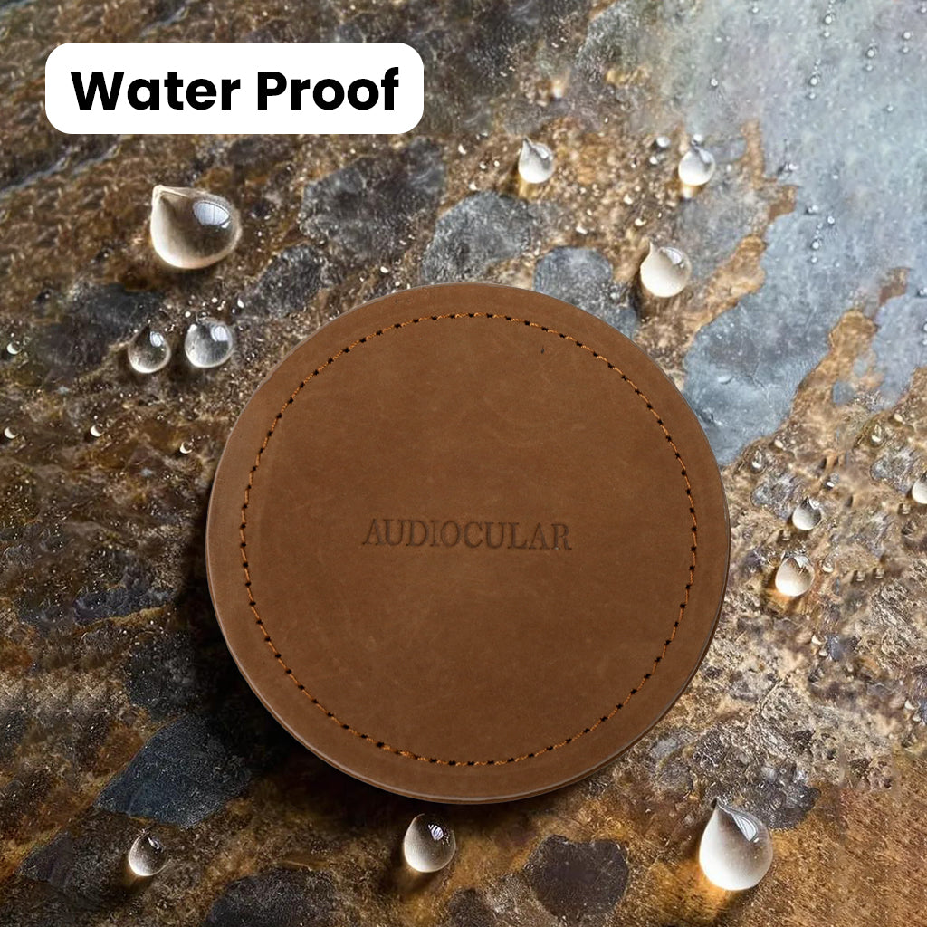 AUDIOCULAR - AC29 Pure Leather Earphone Case For IEMs