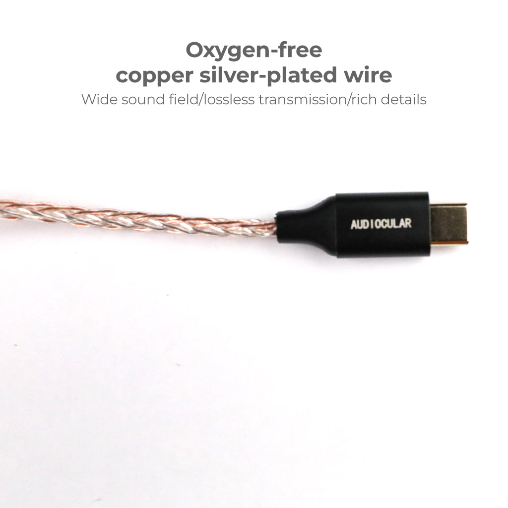 AUDIOCULAR - Type C Male to Type C/ lighting Male Cable