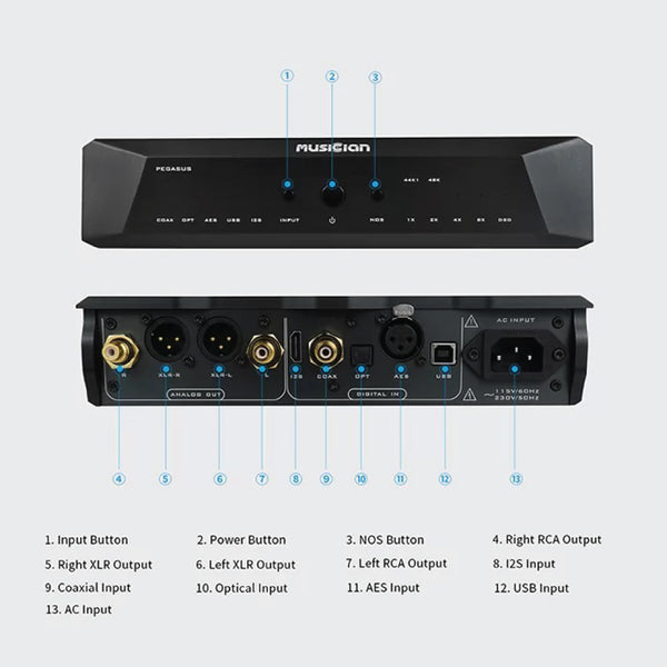 Musician - Pegasus R2R DAC Decoder - 16