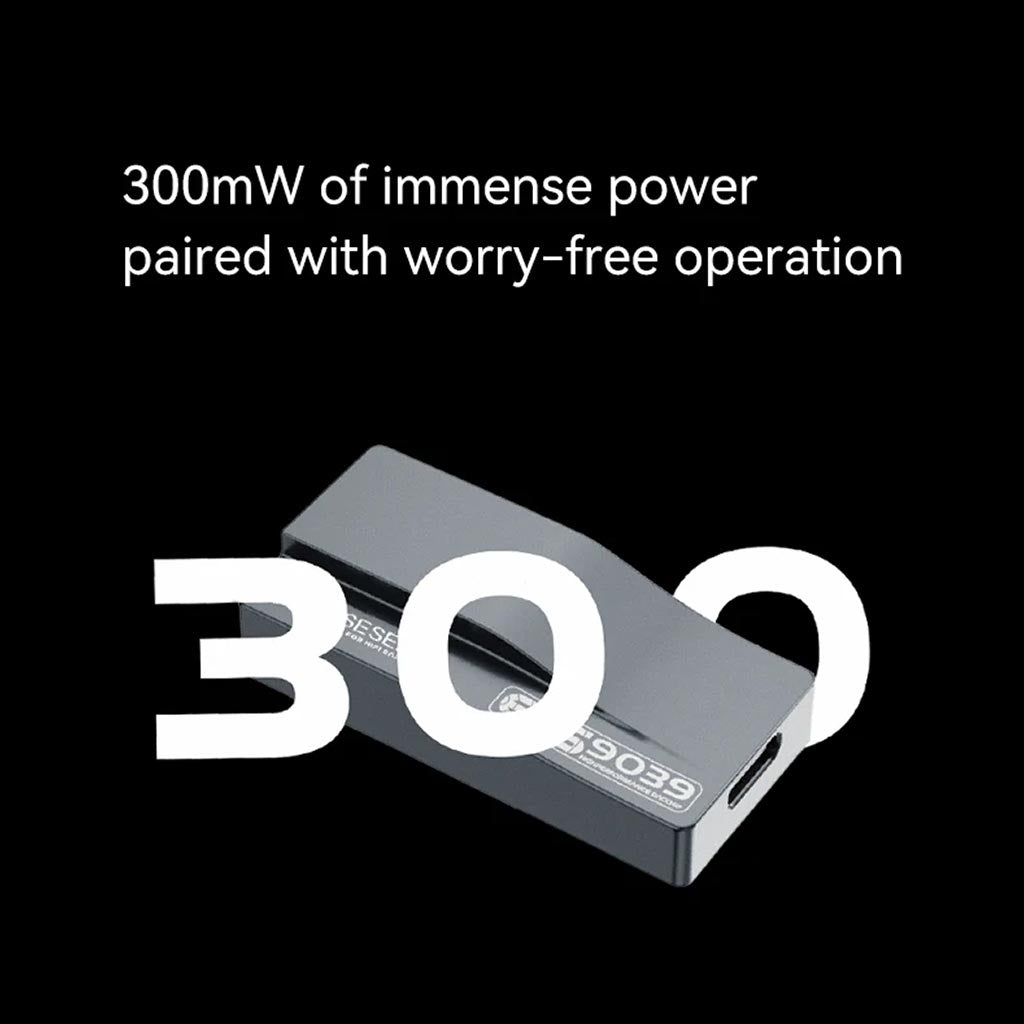 ROSESELSA RZ550 DAC Amp 300mW
