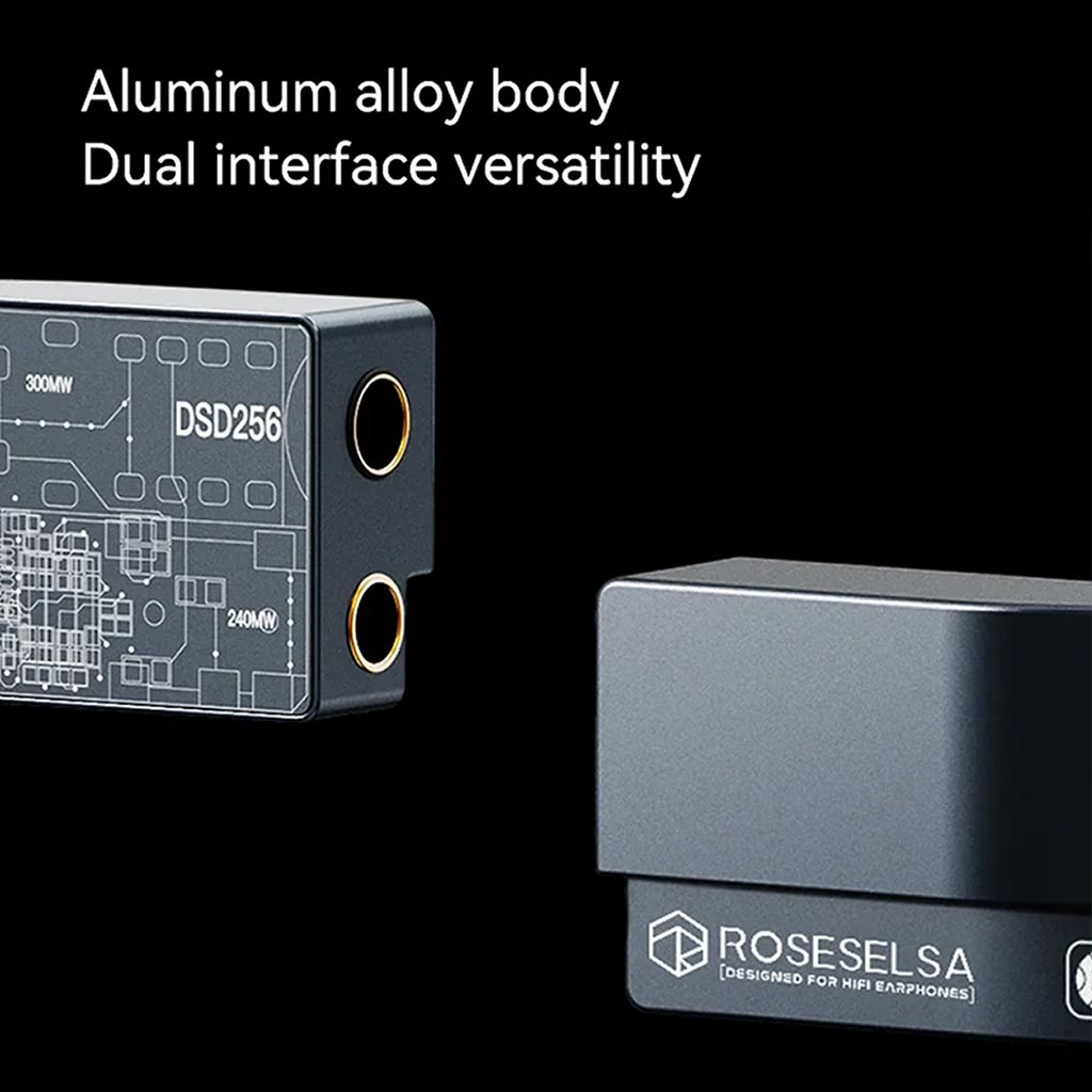 ROSESELSA RZ550 DAC Amp Aluminum Alloy Body
