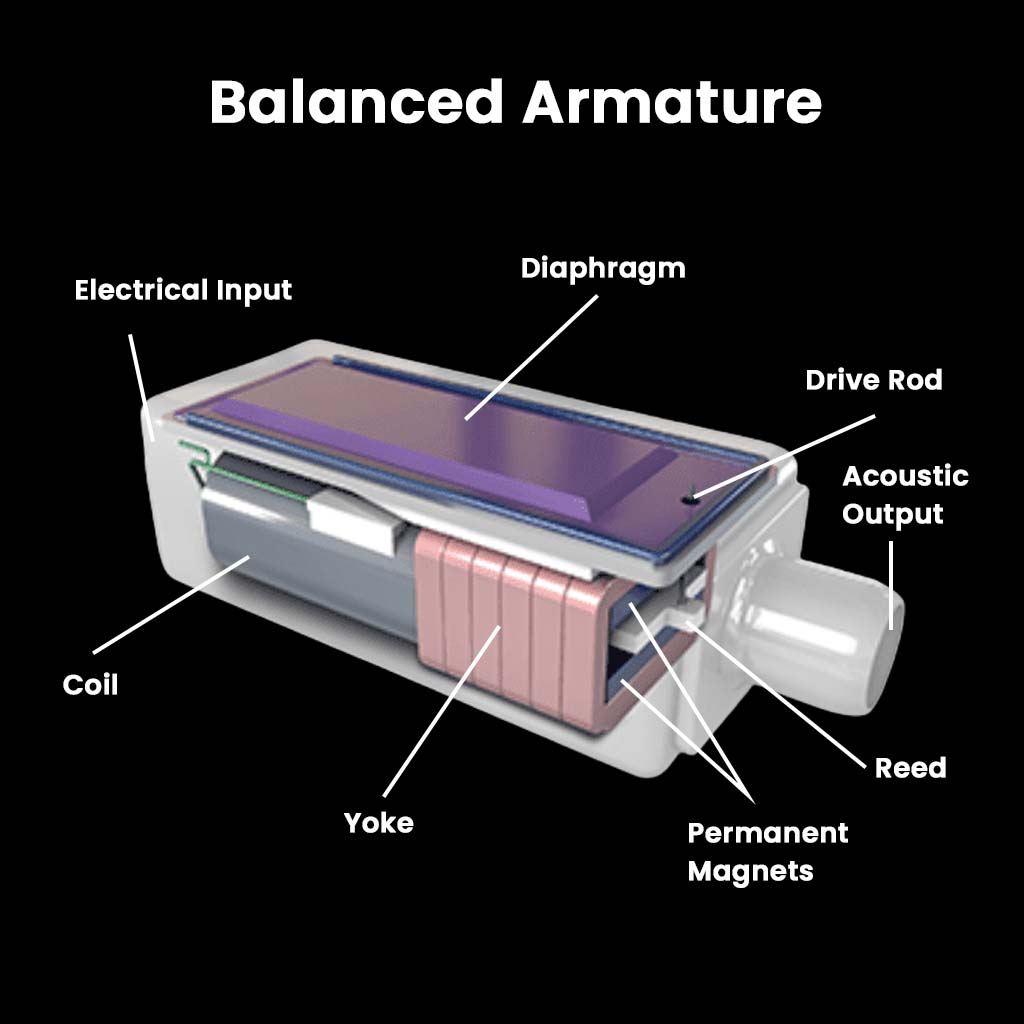 Balanced armature diagram showing internal components of Mangird Top Pro IEM for precise sound reproduction and acoustic clarity.