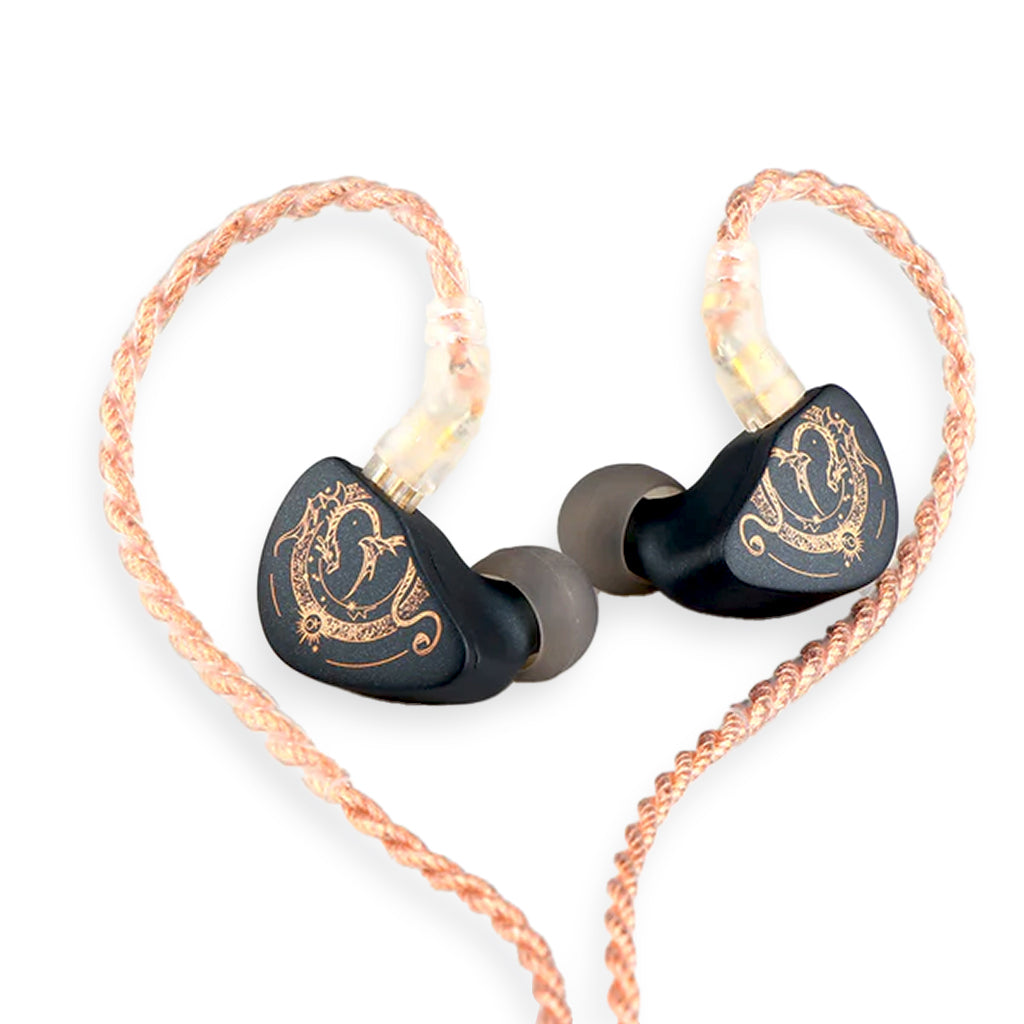 Concept-kart-Blon-X-HBB-Z300-Wired-IEM-3--_7