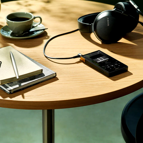Sony - NW-ZX707 Walkman Hi-Res Digital Music Player - 13