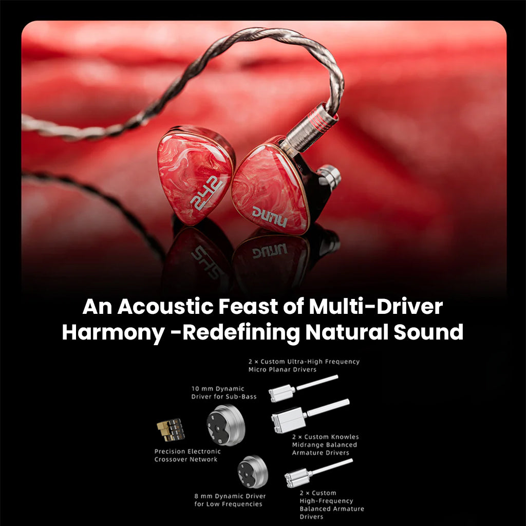 DUNU- DN242 2DD+4BA+2 Micro Planar Drivers IEM