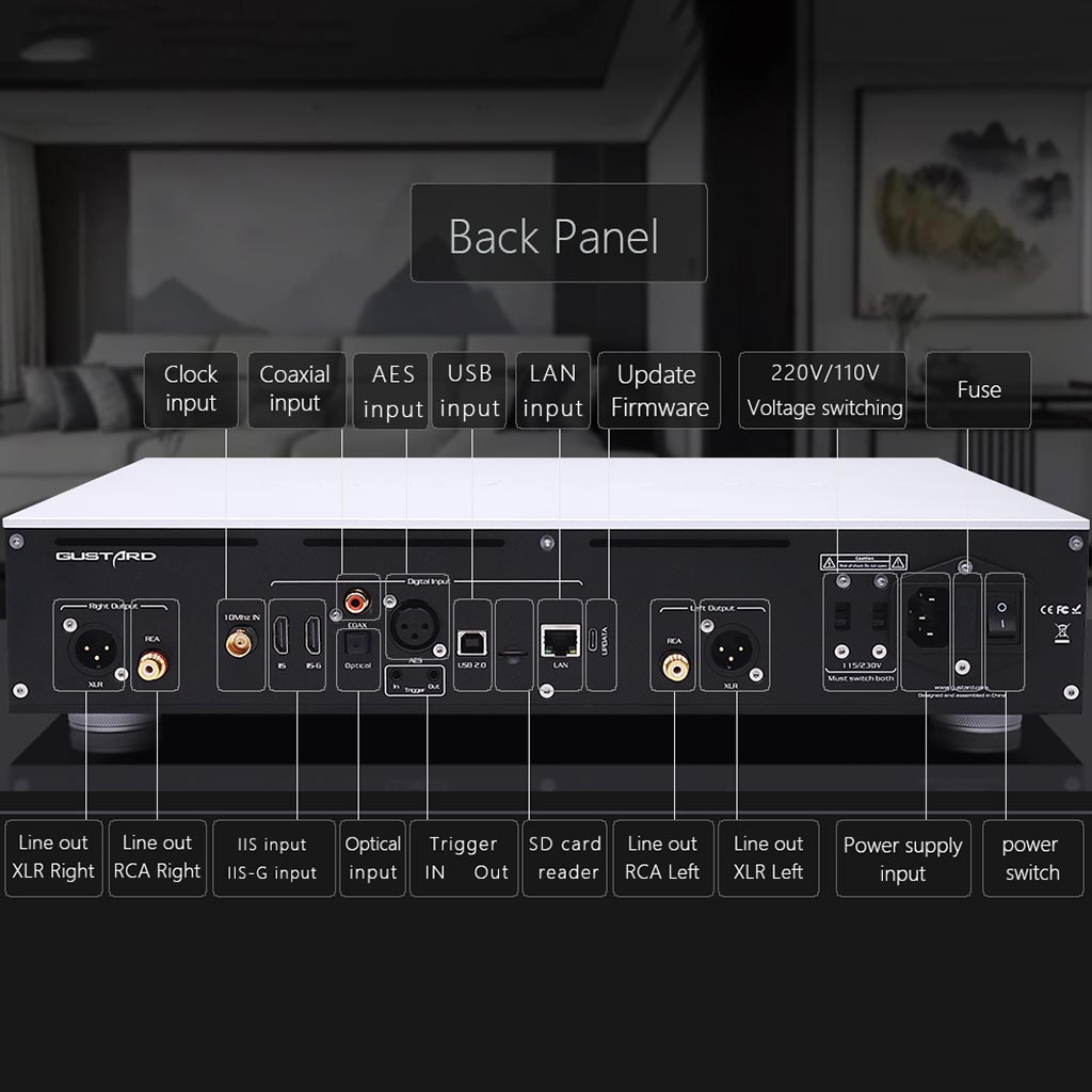 GUSTARD X30 Network Streaming DAC back panal
