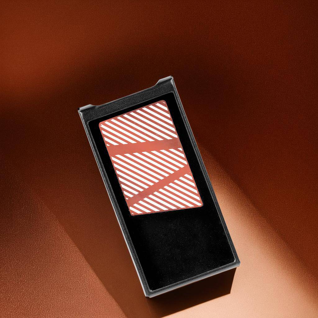 Shnling Onix XM10 LTD Mp3 Plyr Gry wid protective Case