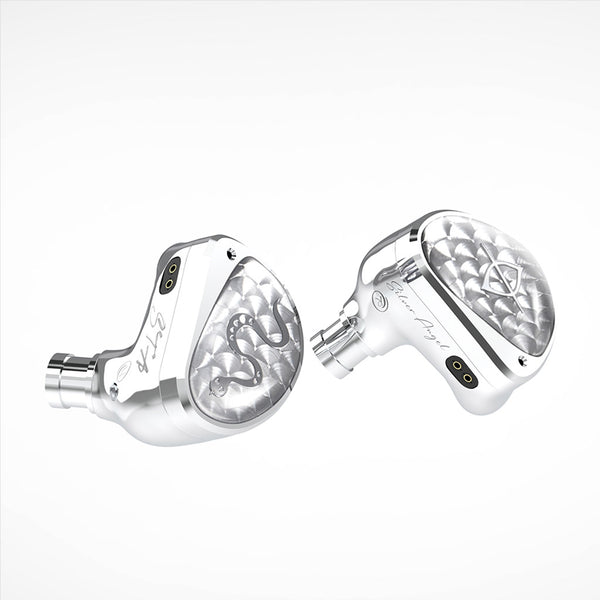 EarAcoustic Audio - STA-Hi End Dual Dynamic Driver IEM - 1
