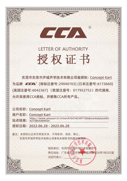 CCA - CA2 Wired IEM - 2