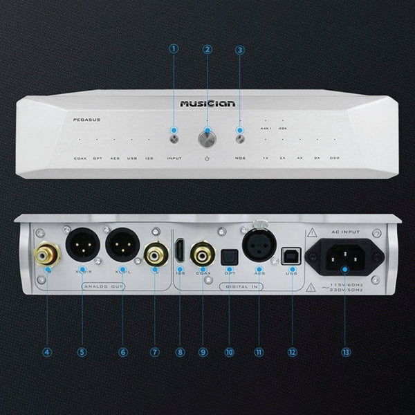 Musician - Pegasus R2R DAC Decoder - 2