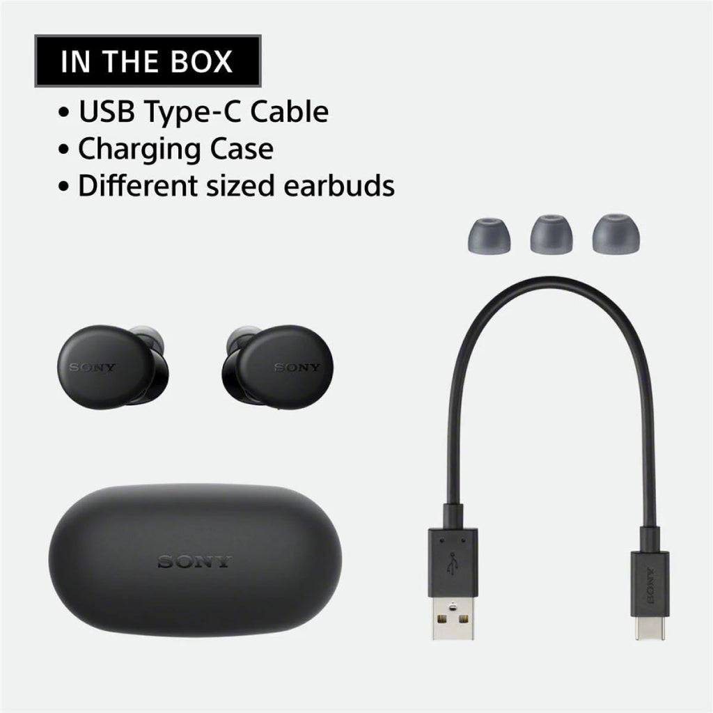 Concept-Kart-Sony-WF-XB700-True-Wireless-Earbuds-3-_8