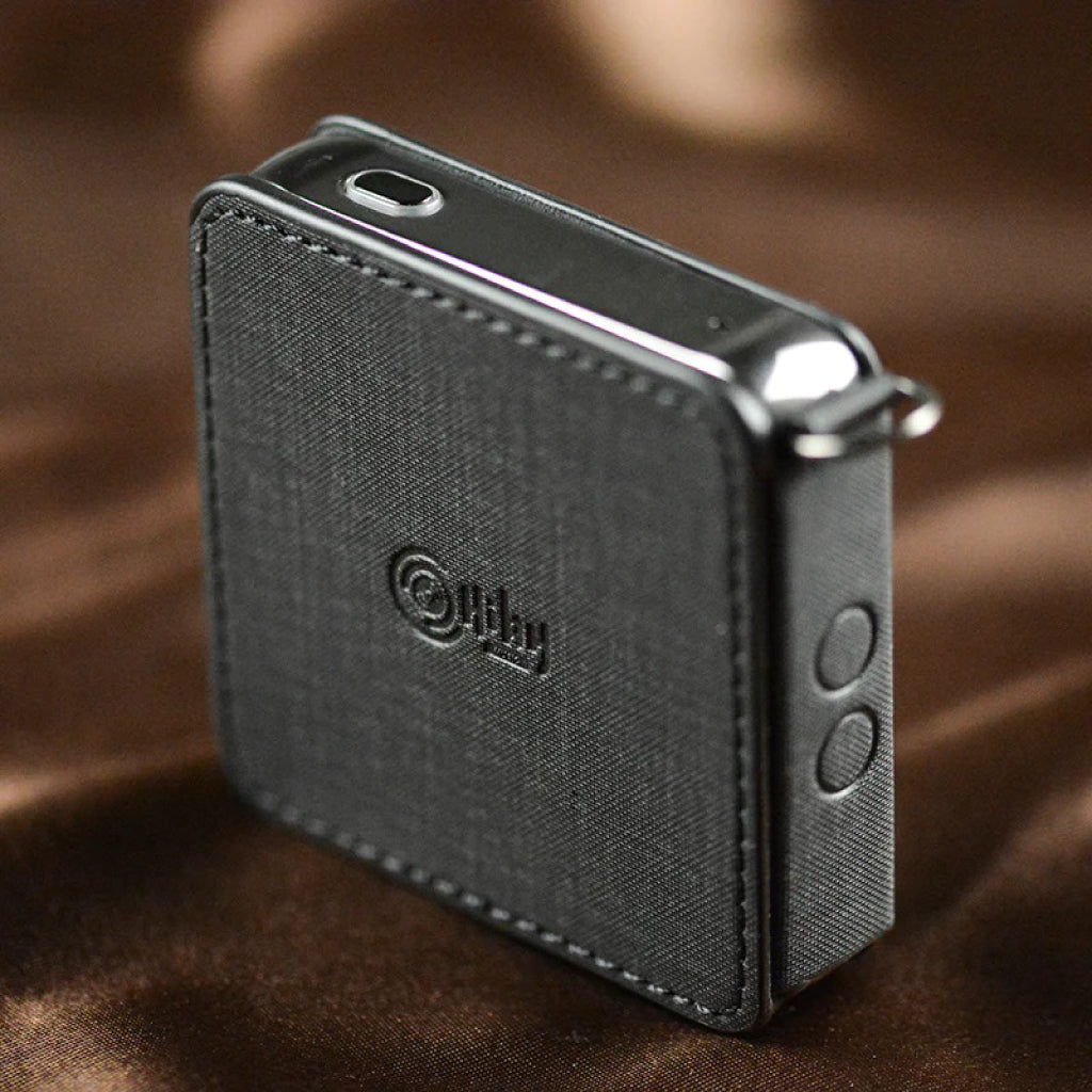 Concept-kart-HiBy-C105-R2-Leather-Case-Black-1_5