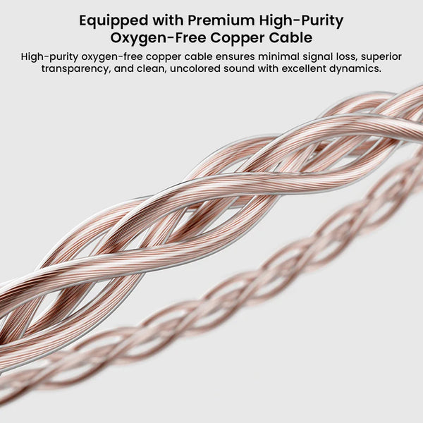 TWISTURA – Beta 11mm Single DD IEM - 7