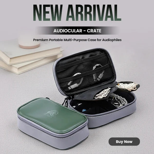 Multi-Purpose Case for Audiophiles