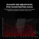 CCA Phoenix Dual Magnet Dynamic Driver IEM - 3