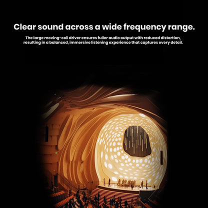 ND Audio NX2 IEM wide frequency range