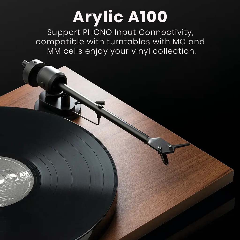ARYLIC A100 Streamer Amplifier support PHONO Input