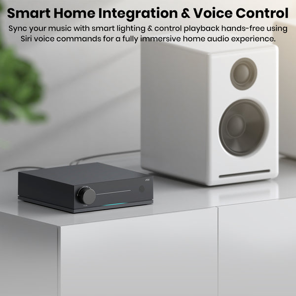 Arylic - LP20 Wireless Music Streamer - 5