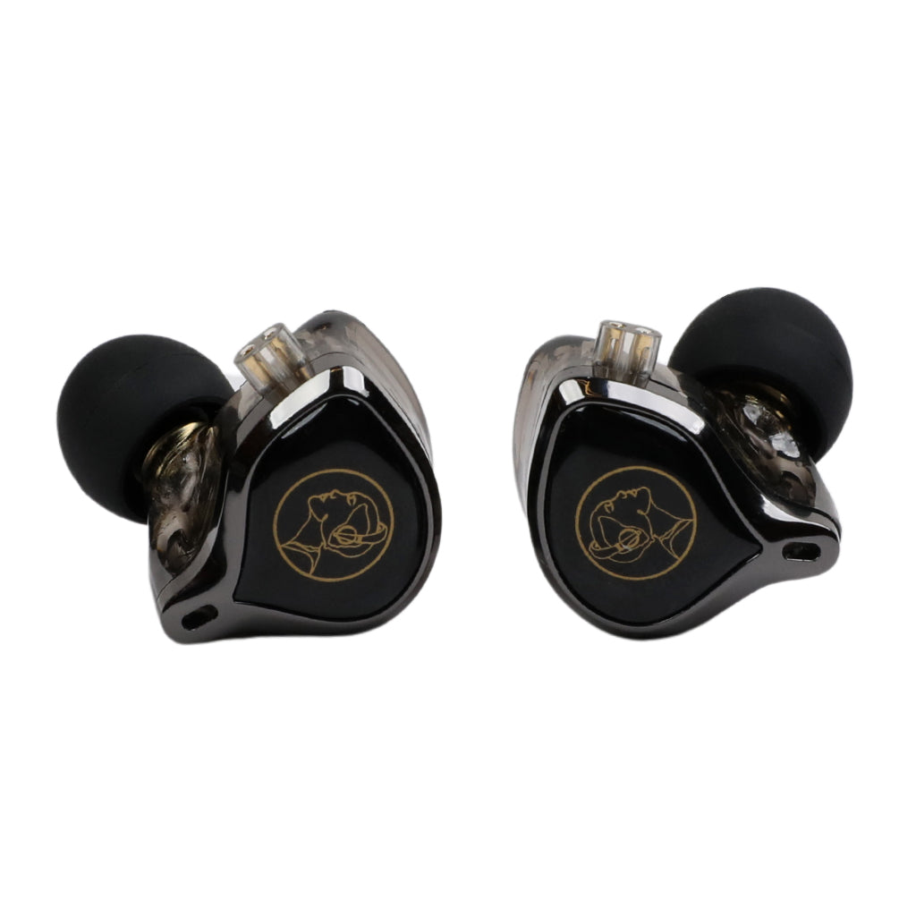 AUDIOCULAR LEX In Ear Monitor with black and gold design, offering stylish aesthetics and high-quality audio under 2000 INR in India.