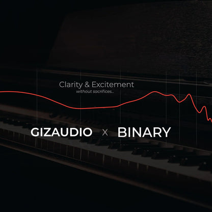 Concept-Kart-Gizaudio-x-Binary-Chopin-IEM-Grey-1-_2