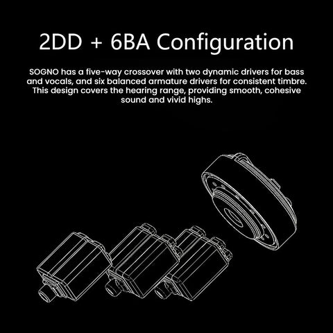 IO Audio SOGNO IEM 2DD + 6BA Driver Configuration