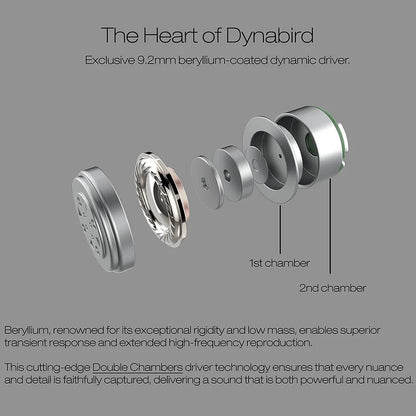 Concept-Kart-Oriveti-bleqk-Dynabrid-IEM_5
