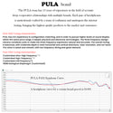 PULA - PA02 Hybrid IEM - 12