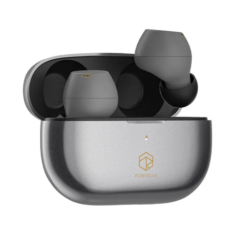 Buy silver-grey ROSESELSA - CERAMICS X True Wireless Earbuds with Hybrid ANC