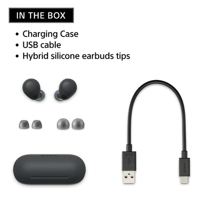 Sony WFC700N earbuds package contents including charging case, USB cable, and silicone tips, perfect for gifting and everyday use.