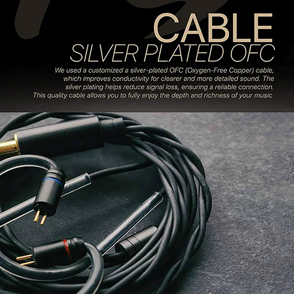 Tangzu WanrSGII 0.78 IEM Black No Mic 3.5mm silver plated ofc cable