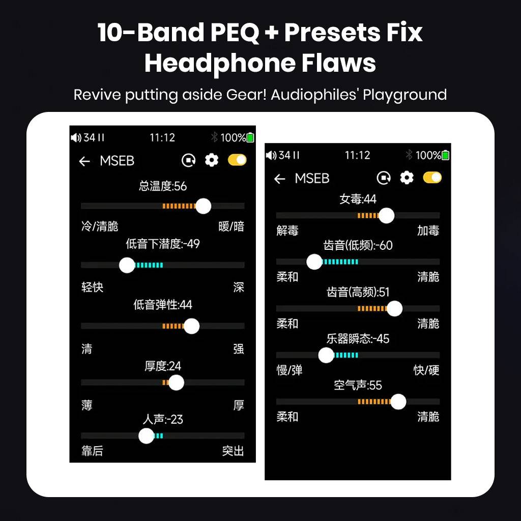 TempoTec Variations V1 features 10-band PEQ and headphone presets to optimize sound for audiophile-grade listening.