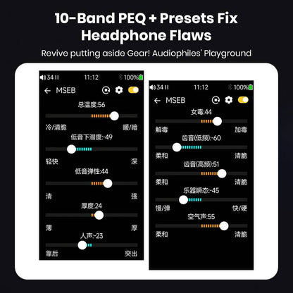 TempoTec Variations V1 features 10-band PEQ and headphone presets to optimize sound for audiophile-grade listening.