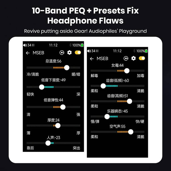 TempoTec – Variations V1 Dual CS43131 Hi-Res Music Player - 14