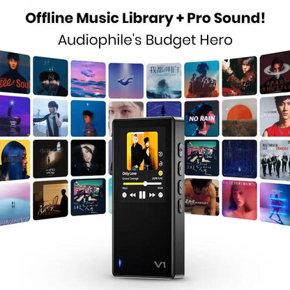 TempoTec Variations V1 Hi-Res Player with offline music library and pro-grade sound, surrounded by album covers.