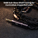 ZiiGaaT – CRESCENT 2DD + 2BA HANDCRAFTED HYBRID IEM - 10