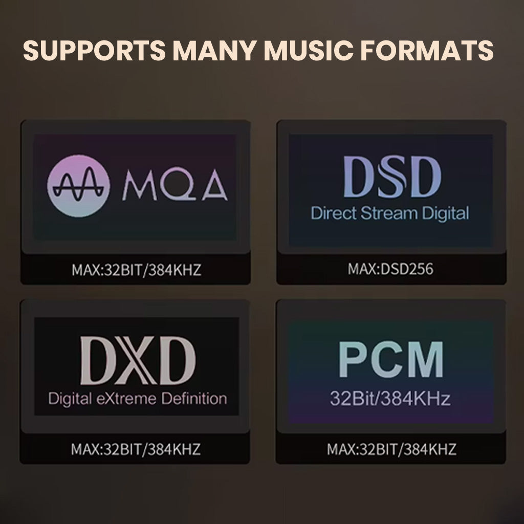 xDuoo XA02 Desktop DAC & Headphone Amp Multi music formats 