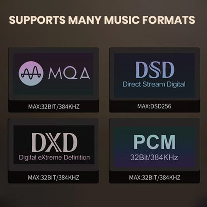 xDuoo XA02 Desktop DAC & Headphone Amp Multi music formats 