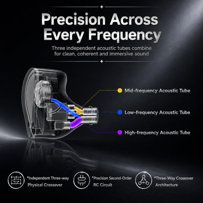 Binary Acoustics - 1900 10mm DD + 6mm Passive Radiator + 4BA Hybrid IEMs