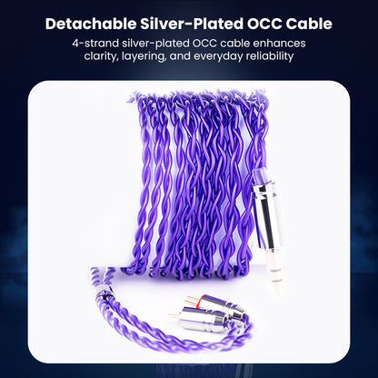 Detachable silver-plated OCC cable with COZOY IEMs and accessories in box