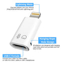 TECPHILE – Lighting to Type C OTG Adapter - 8