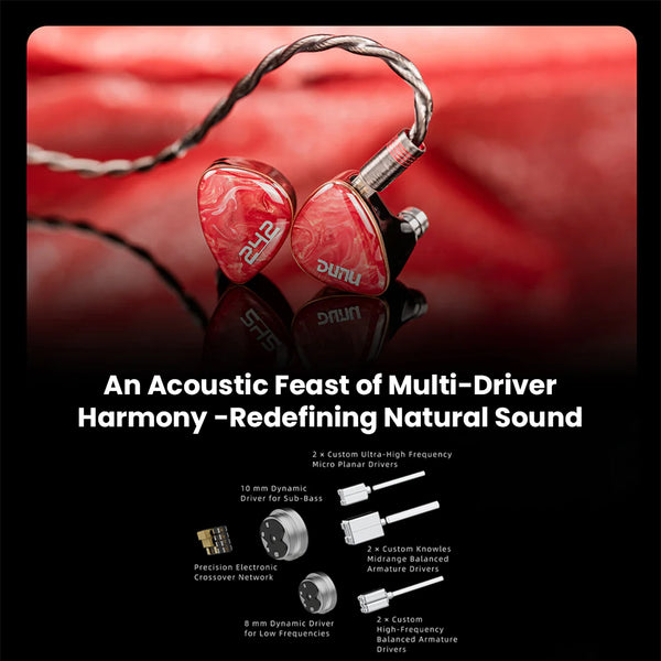 DUNU- DN242 2DD+4BA+2 Micro Planar Drivers IEM - 3