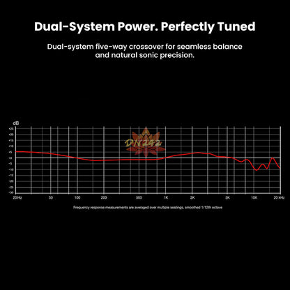 DUNU- DN242 2DD+4BA+2 Micro Planar Drivers IEM