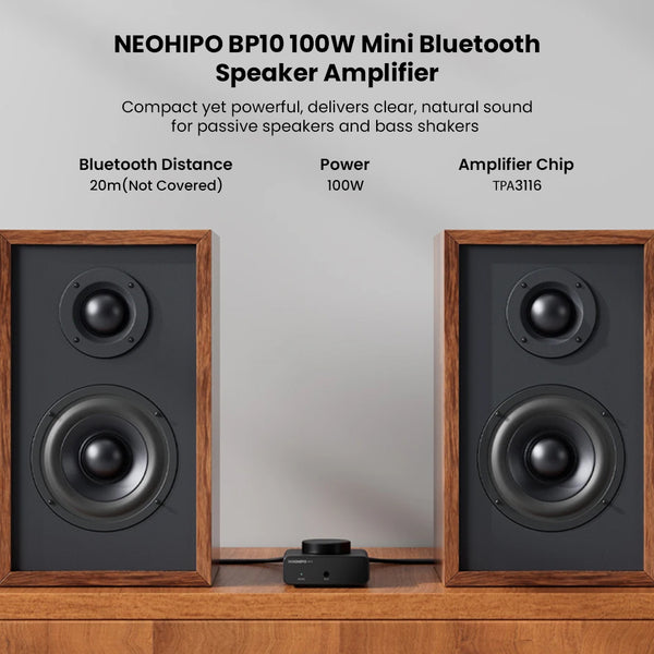 NEOHIPO- BP10 100W BT5.0 TPA3116 Stereo & Mono DAC/Amp - 10