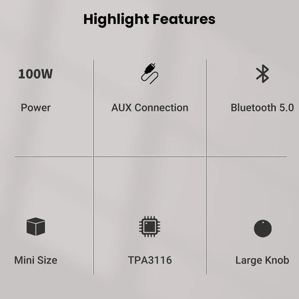NEOHIPO- BP10 100W BT5.0 TPA3116 Stereo & Mono DAC/Amp - 2