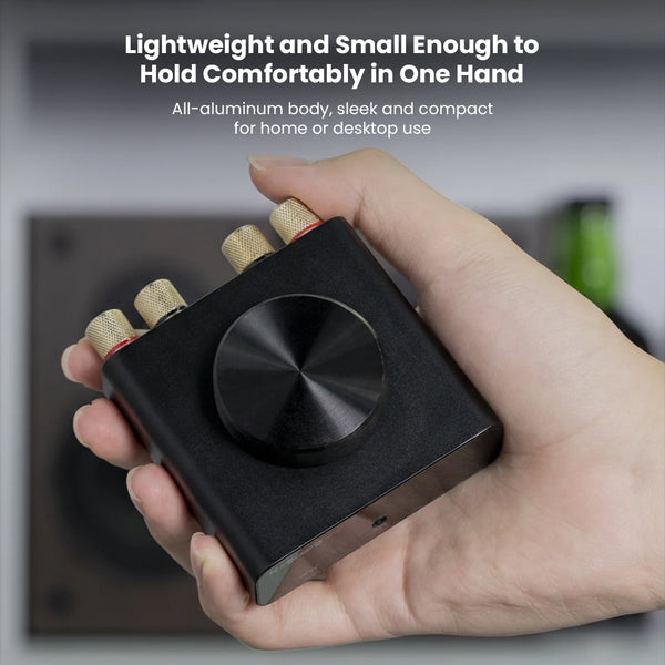 NEOHIPO- BP10 100W BT5.0 TPA3116 Stereo & Mono DAC/Amp - 6