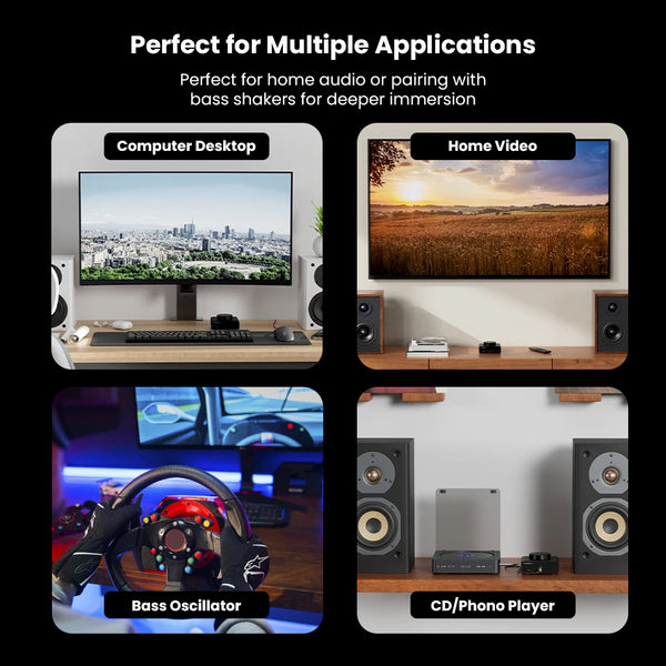 NEOHIPO- BP10 100W BT5.0 TPA3116 Stereo & Mono DAC/Amp - 8