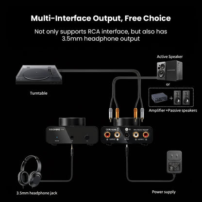 NEOHIPO TP10 Phono Preamp connection diagram with turntable, speakers, and headphones for multi-interface output options.
