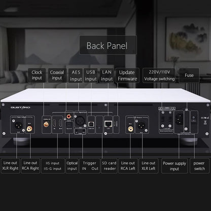 GUSTARD X30 Network Streaming DAC  back panal